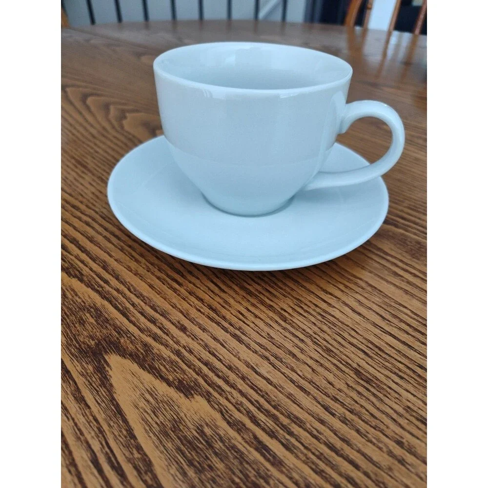 Pottery Barn Great White 12 oz Mug and Saucer Coffee Tea